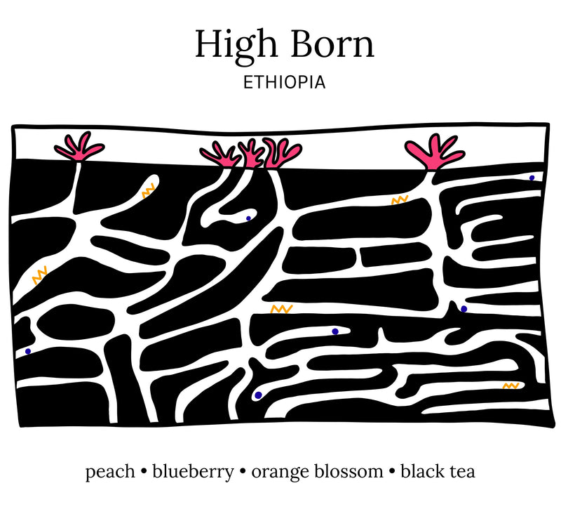 High Born